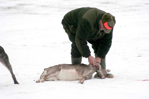 Jagd Wild Aufbrechen